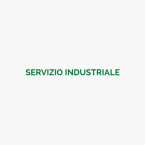 Servizio industriale